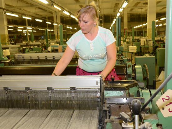  особенности развития текстильной промышленности волгоградской области  1