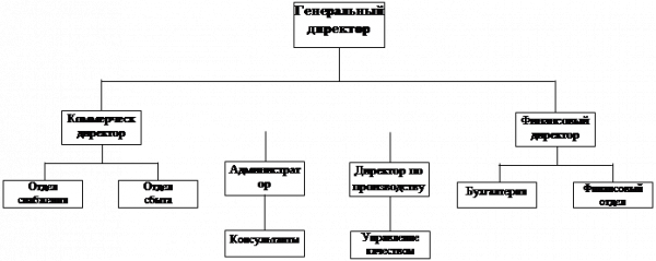  организационная и производственная структура предприятия 1