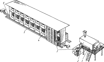 Рисунок схема производства макарон с сушкой в лотковых кассетах 1