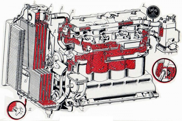  система охлаждения двигателя д трактора мтз  1