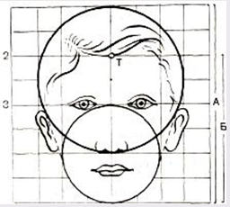 Пропорции головы человека 3